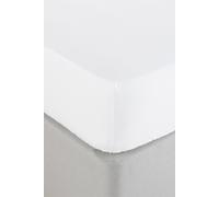 Paoletti Bamboo Double Fitted Sheet, Cotton, Bamboo, White