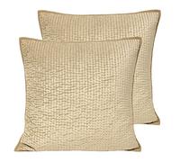 Paoletti Brooklands Polyester Filled Cushions (Twin Pack), Viscose, Cotton, Champagne