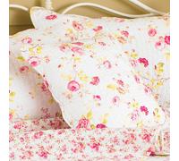 Paoletti Honeypot Lane Floral Cushion In White White 45cm x 45cm