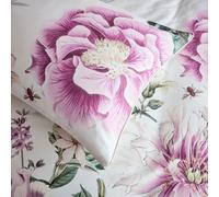 Paoletti Krista Floral 100% Cotton Piped Pillowcase Pair