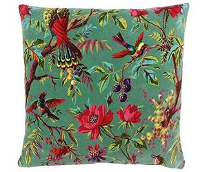 Paoletti Paradise Square Cushion Cover - Aqua Colourful Bird Print Velvet Feel Cotton Fabric (50 x 50 cm, Pack of 1)