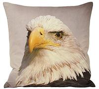 Paoletti Riva Eagle Filled Cushion-Animal Print Design-Faux Suede Fabric-Hidden Zip Closure-Machine Washable-100 Case (18" x 18" inches), Polyester, Grey, 45 x 45cm