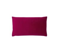 Paoletti Sunningdale Soft Velvet Cushion In Cerise Cerise