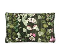 Paoletti Veadeiros Botanical Feather Rich Filled Cushion