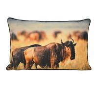 Riva Paoletti Wildebeest Cushion Polyester Filled Photographic Print Tan 40 x 60 cm