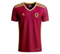 PAP Products Camiseta de Venezuela, Venezuela Soccer Jersey, Camiseta de Futbol, Ideal para Aficionados al Soccer y Baseball, Vinotinto, Medium
