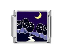 papasgix Italian Charm Bracelet Charms Silver Moon Modular for Italian Charm Flowers Italian Style Charms fits all 9mm Bracelet Retro Personality Accessories Mother's Day Gift Road Black