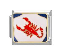 papasgix Modular for Italian Charm Italian Charms for Women 12 Constellations Italian Style Charms fits all 9mm Bracelet Retro Personality Charms Bracelets Accessories Gift White Scorpio