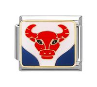 papasgix Modular for Italian Charm Italian Charms for Women 12 Constellations Italian Style Charms fits all 9mm Bracelet Retro Personality Charms Bracelets Accessories Gift White Taurus