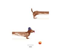 Paper Collective Doug the Dachshund poster 50x70 cm