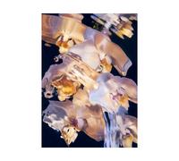 Paper Collective Flora Aquatica 01 poster 30x40 cm