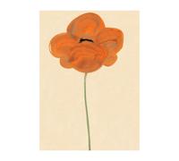 Paper Collective Orange Vallmo poster 30x40 cm