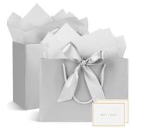 Paper Gift Bags with Handles - Pack of 2, Includes 2 Handkerchiefs and 2 Cards for Women, Girls, Bridesmaids, Birthdays, Valentine's Day and Wedding Parties