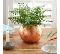 Hammered Iron Round Planter - Small Handmade Vase - Copper Plated Bowl - Indoor Plant Pot - Mottled Metal Effect - Small Houseplant Pot
