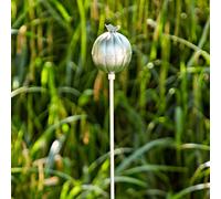 Paper High Iron Poppy Seed Head Garden Stake Decoration in Silver Paper High Silver