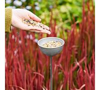 Paper High Recycled Iron Silver Rain Catcher - Metal Sculpture - For The Garden - Flowerbed Décor - Metal Garden Ornament (Small)