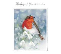 Paper House Artistic Christmas Greeting Card - Thinking of You - Robin and Snowdrops - With Silver Foil Details - From The Great British Card Company
