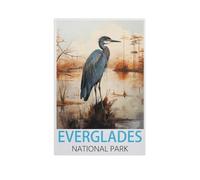 Paper Jigsaw 1000 Piece,Everglades National Park,Educational Toys For Adult Birthday Gift(50x70cm)-FU98