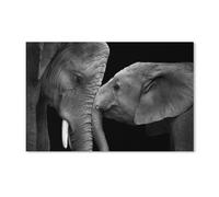 paper Jigsaw Puzzle 1000 Pieces,Black and white two elephants,Adult Children Toys Decompression Game 38x52CM 38x26CM