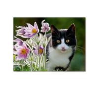 Paper Jigsaw Puzzle 1000 Pieces，Cat curiously looking through kitchen scallion flowers，Adult Children Toys Decompression Game（50x70cm）-AT63