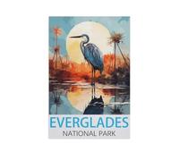 Paper Jigsaw Puzzle 1000 Pieces,Everglades National Park,Adult Children Toys Decompression Game(50x70cm)-FV79