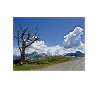 Paper Jigsaw Puzzle 1000 Pieces，On the Penken, above Mayrhofen, Zillertal，Adult Children Toys Decompression Game（50x70cm）-AR23
