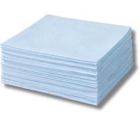 Paper Napkins 33cm 2 Ply - Pack of 20 Disposable Luncheon Serviettes - Soft & Absorbent Party Napkins for Weddings, Birthdays & Catering (Light Blue)