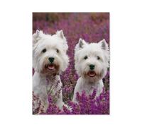 Paper Puzzle 1000 Pieces Jigsaw Puzzle Classic，Two Yorkshire Terriers surrounded by flowers，Jigsaw Game Educational Toys Decorative Painting Gift Toys（38x26cm）-A70