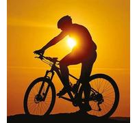 Paper Rose Birthday/Blank Card for Men - General Male Card - Mountain Biker at Sunset - Eco-Friendly and Recyclable - By Art Group at