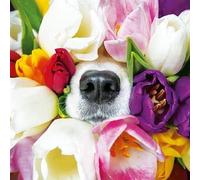Paper Rose Birthday/Blank Card for Women - General Female Card - Floral Bouquet and Dog Nose - Eco-Friendly and Recyclable