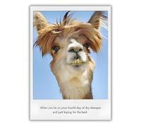 Paper Rose Birthday Card for Men or Women - Funny Dry Shampoo Llama Joke with Photographic Design - Blank Inside - Hilarious Greeting Card