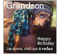 Paper Rose 'Chilled Grandson' Funny Birthday Card for Men/Boys - 'Chill Out & Relax' Dog on Sofa - Eco-Friendly & Recyclable
