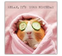 Paper Rose Funny Birthday Card For Women or Girls - Cute Guinea Pig - 'Relax, it's your Birthday!' - Humorous Animal Greeting Card
