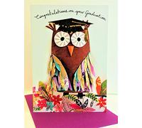 Paper Rose Owl Congratulations Graduation Card