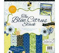 Paper Stacks 12 x 12-inch Diecuts Citrus Hanging Stack, Blue