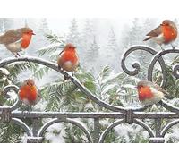 Paper Themes 10 pack of Luxury Large Christmas Cards with Envelopes (Robins on a Gate)