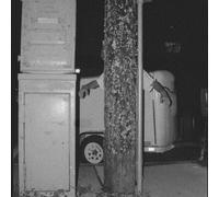 Paper Tiger - All Over The Place