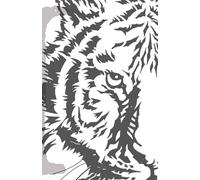 Paper Tigers: Learning to Discern Fear (The Paper Tiger Series)