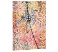 Paperblanks 2026 Anemone William Kilburn 12 Month Calendar Midi Vertical with Folding Envelope 160 Pg 100 GSM