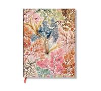 Paperblanks Anemone (William Kilburn) Midi Unlined Softcover Flexi J (Paperback)