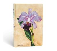 Hardcover Journals, Brazilian Orchid, Lined (Painted Botanicals)