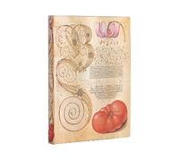 Paperblanks Lily & Tomato (Mira Botanica) Midi Unlined Journal (Hardback)