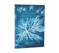 Paperblanks Sea Flowers (Anna Atkins’ Cyanotypes) Midi Unlined Softc (Paperback)