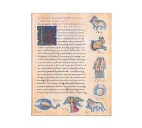 Paperblanks Softcover Flexis Astronomica | Lined | Ultra (180 × 230 mm)