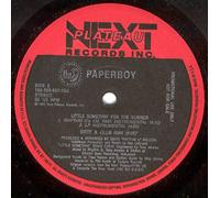 Paperboy - Little Somethin' For The Summer [Vinyl Single 12'']