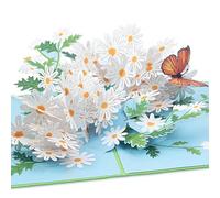 papercrush® Flowers Pop-Up Card Daisies with Butterfly - 3D Flower Card for Her (Happy Birthday, Thank You, Good Luck), Money Gift & Voucher for Gardeners (Wife, Mom, Auntie) - Get Well Soon Billet