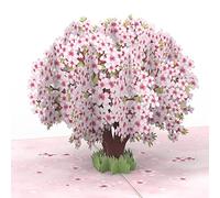 papercrush® Pop-Up Card Cherry Blossom Tree - 3D Birthday Card with Sakura Flowers for Women (Wife, Girlfriend & Partner), Handmade Baby Girl, Wedding Anniversary or Get Well Soon Giftcard