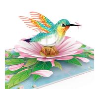 papercrush® Pop Up Card Hummingbird - 3D Birthday Card with Bird & Flowers for Wife, Girlfriend & Mother, Anniversary Congratulations Card, Goodbye, Get Well Soon, Thank You, or I Miss You Greetings
