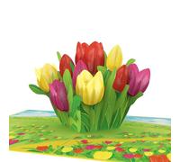 papercrush® Pop Up Card with Colourful Tulips - 3D Flower Card for Girlfriend, Auntie, Wife & Mom (Get Well Soon, Thank You, I Miss You), Floral Congratulations Voucher for Birthday Money Gift