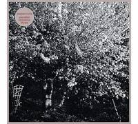 Papercuts - Parallel Universe Blues